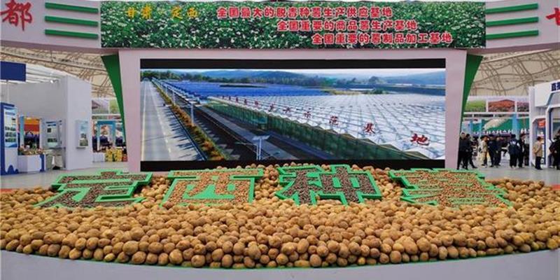 定西马铃薯大会