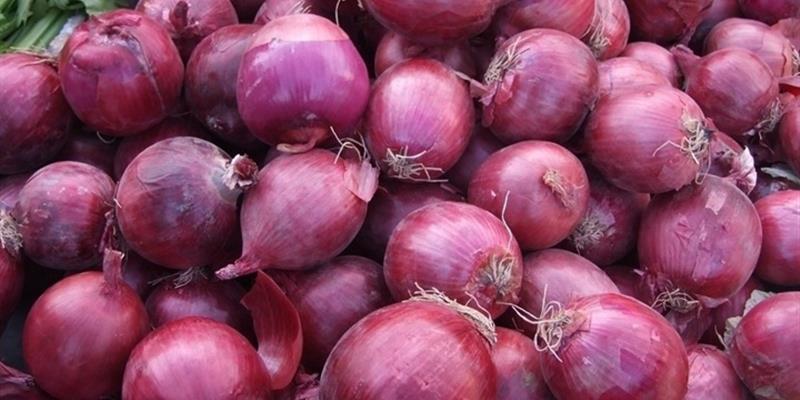 印度再遇洋葱危机