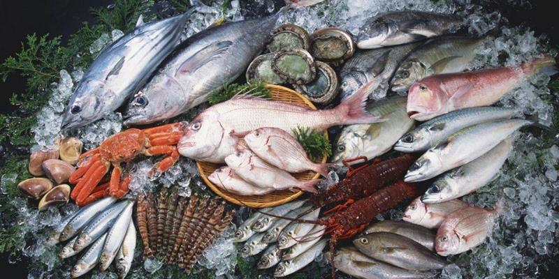 海鱼比淡水鱼更有营养吗？