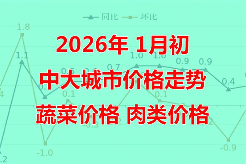 2026年 1月初，中大城市价格走势，蔬菜价格 肉类价格