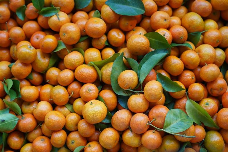 砂糖橘上市了，吃货们如何找到最甜的那一颗？