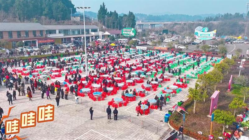 全网呼叫按猪能手