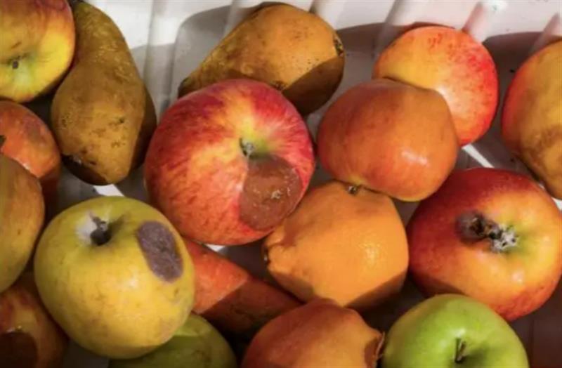 水果发霉削掉后可以吃?