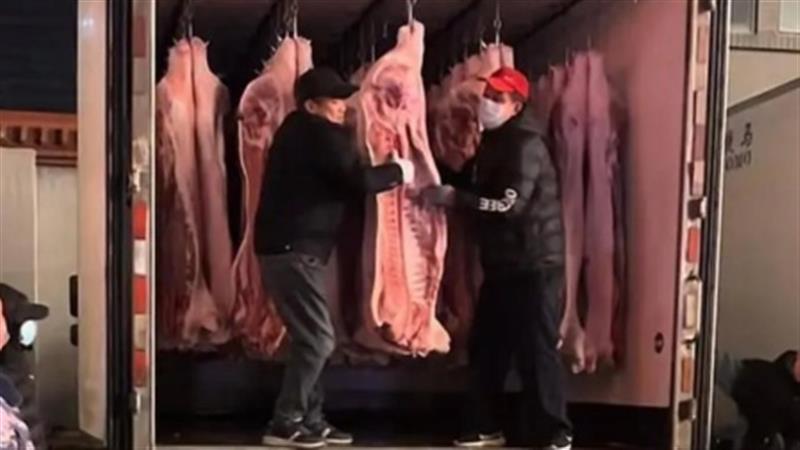 社区过年每人发11000元和半只猪